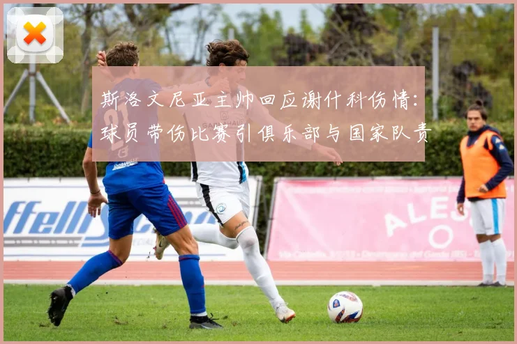 斯洛文尼亚主帅回应谢什科伤情:球员带伤比赛引俱乐部与国家队责任讨论