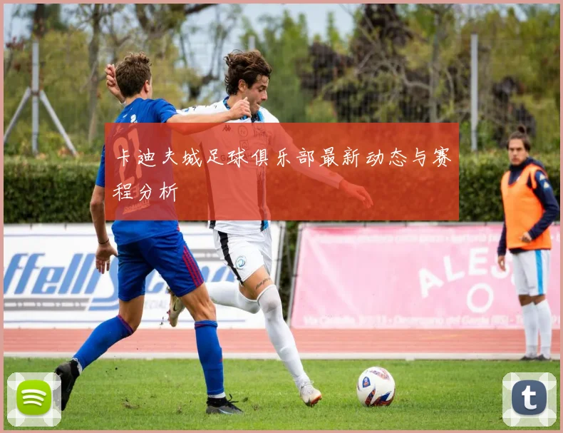 卡迪夫城足球俱乐部最新动态与赛程分析